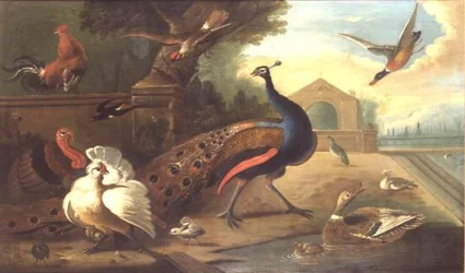 Unknown Image