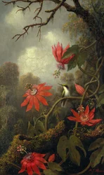 Hummingbird and Passionflowers, c.1875-85