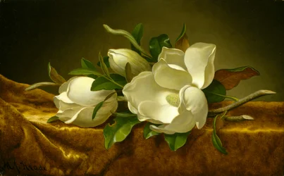 Magnolias on Gold Velvet Cloth, c.1888-90