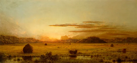 Sunrise, Hoboken Meadows