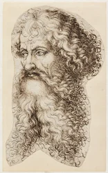 Bearded Man