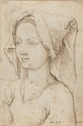 Young Woman Wearing a Scarf