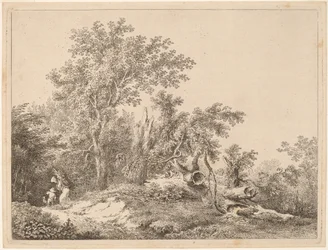 Landscape with Broken Tree