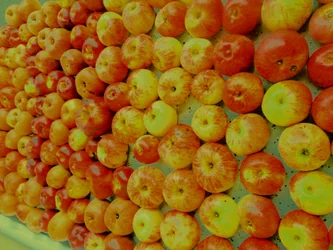 Harvest Festival