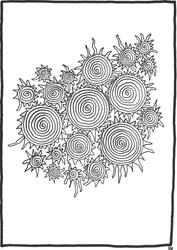 Licorice Wheels