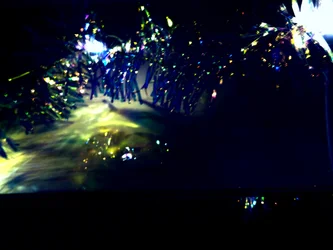 Winter Lights