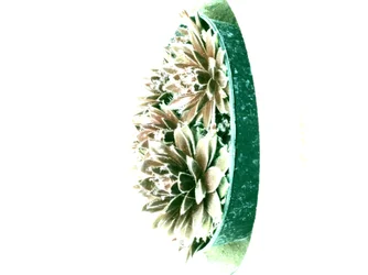 Succulents