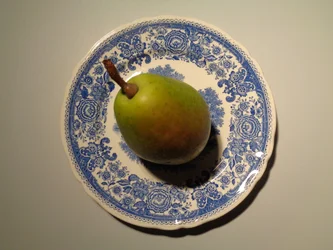 Villeroy and Boch Porcelain with Pear