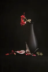 Broken Vase with Red Flowers
