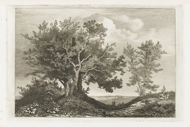 Path Between Two Rows of Trees
