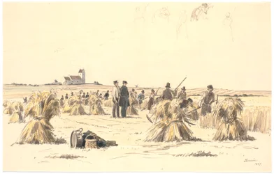 Harvest Workers in the Field