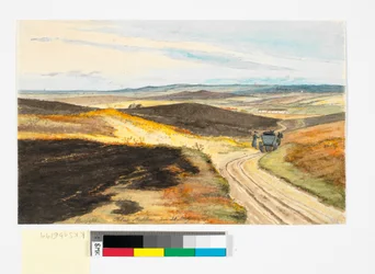 Hollow Road in Tolne Hills, Vendsyssel, May 21, 1833