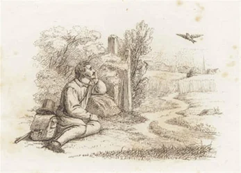 Illustration for 