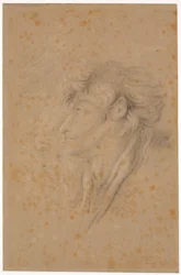 Study of a Youth and a Bearded Old Man