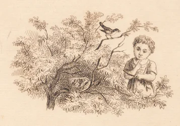 Illustration for "Fifty Fables for Children" by Hey