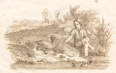 Illustration for 