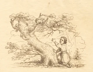 Illustration for 