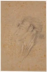 Study of a Youth and a Bearded Old Man