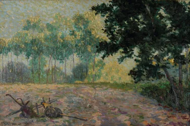 The Plow
