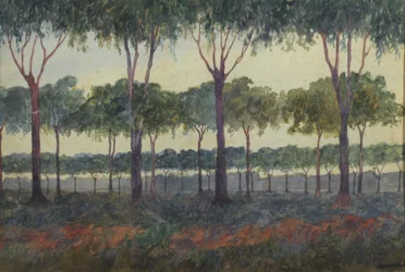 The Grove