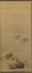 Turtles, Edo period