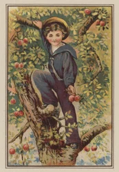 Boy climbing apple tree