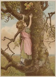 Girl climbing for last apples