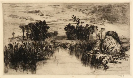 Cattails and Trees
