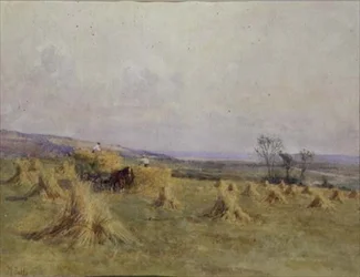 Harvesting by the Sea, Norfolk