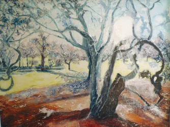 Spring in Darley Park