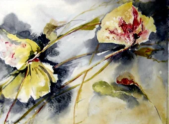 Lily Leaves Drifting