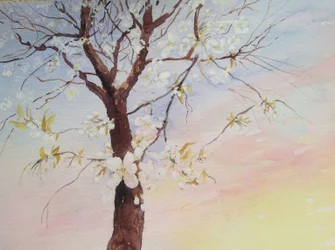 White Cherry Blossom