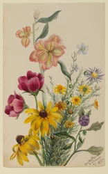 Group of Flowers