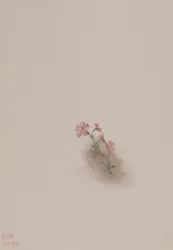 Untitled (Flower Study)