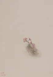 Untitled--Flower Study, 1936