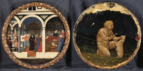 Birth Tray
