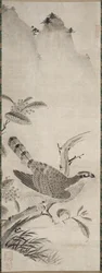 Hawk, mid 1500s