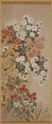 Chrysanthemums