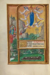 The Assumption of the Virgin
