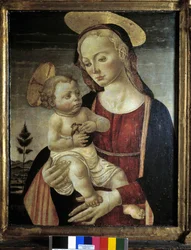 Unknown Image