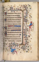 Hours of Charles the Noble, King of Navarre 1361-1425: fol. 216r, Text