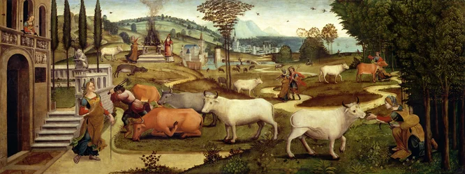 The Passions of Pasiphae, wife of King Minos of Crete, from the Story of Theseus