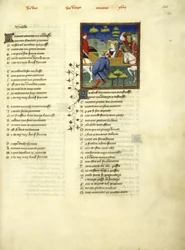 Lady in a horse-borne litter