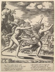 Apollo Chasing Daphne, 1530-60