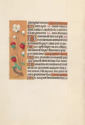 Hours of Queen Isabella the Catholic, Queen of Spain: Fol. 102v