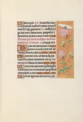 Hours of Queen Isabella the Catholic, Queen of Spain: Fol. 107r