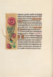 Hours of Queen Isabella the Catholic, Queen of Spain: Fol. 110v, c. 1500