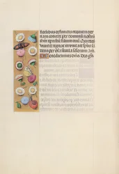 Hours of Queen Isabella the Catholic, Queen of Spain: Fol. 135v, c. 1500