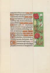 Hours of Queen Isabella the Catholic, Queen of Spain: Fol. 152r