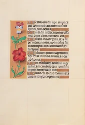 Hours of Queen Isabella the Catholic, Queen of Spain: Fol. 201v